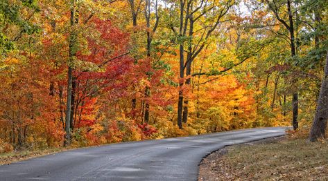 Alabama Road Trip Ideas: 11 Best Road Trips + Itinerary Alabama Road Trip, Road Trip Ideas, Best Road Trips, Scenic Road Trip, Scenic Roads, Fall Travel, Road Trip Fun, Nature Trail, Road Trip Itinerary