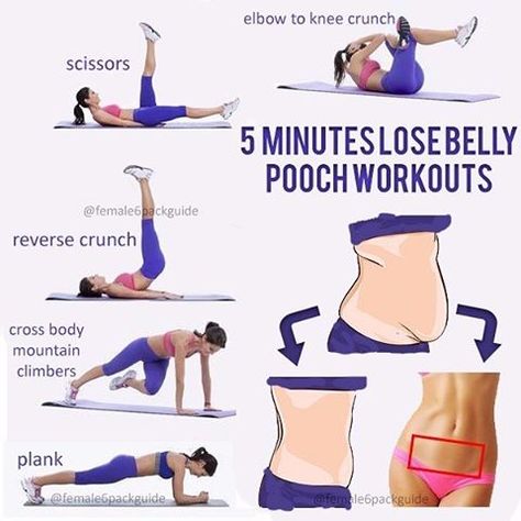 16.9k Likes, 1,311 Comments - Female 6Pack Guide (@female6packguide) on Instagram: “5 minutes lose belly pooch workouts ! Challenge a friend by tagging them 💕 #female6packguide” Lose Belly Pooch, Membakar Lemak Perut, Pooch Workout, Lower Belly Pooch, Belly Pooch Workout, Belly Pooch, Trening Abs, Belly Fat Workout, Pilates Reformer