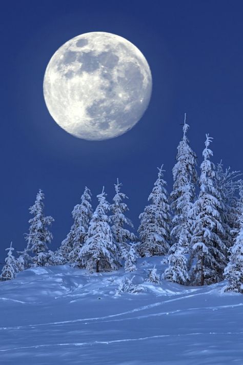 winter moon Winter Moon Painting, Winter Scenes Wonderland, Winter Wonderland Wallpaper, Christmas Moon, Snow Moon, Moonlight Photography, Winter Moon, Snow Pictures, Moon Clouds