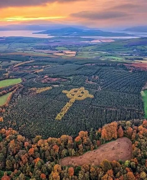 Capturing Aerial view the fall colour forest in Co. Donegal presents an amazing Celtic cross. Larch Tree, Images Of Ireland, Ireland Photography, County Donegal, Donegal Ireland, Love Ireland, Irish Landscape, Wild Atlantic Way, Visit Ireland