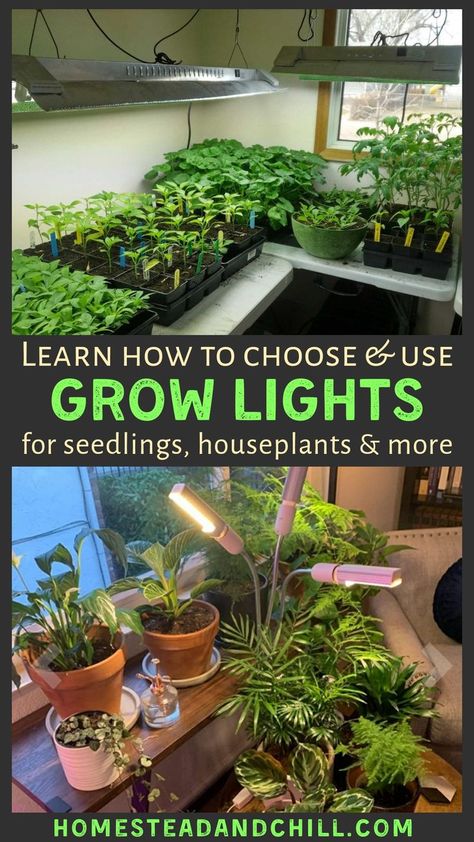 Nature, Spiritual House, Terrariums Diy, Winter Sowing, Seedlings Indoors, Indoor Grow Lights, Indoor Vegetables, Best Grow Lights, Tattoo Plant