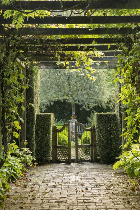 single Italian Garden Design, Country Home Magazine, My French Country Home, French Country Home, French Country Garden, Rustic Italian, Italian Garden, Mediterranean Garden, Home Magazine