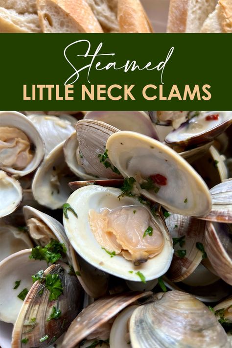 Steamed Little Neck Clams piled up next to slices of bread Little Neck Clam Recipes, Clam Recipe, Steamed Clams Recipe, Steamed Clams, Fancy Dishes, Delicious Seafood Recipes, Seafood Recipe, Clam Recipes, Seafood Appetizers