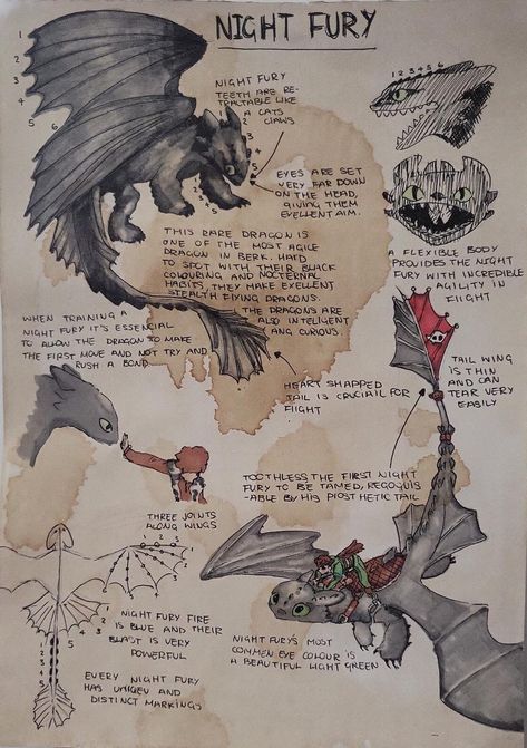 Aesthetic Journaling Ideas, Aesthetic Journaling, Train Dragon, Httyd Art, Dragon Sketch, Httyd Dragons, Night Fury, Mythical Creatures Art, Dragon Drawing