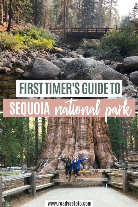 Sequoia National Forest, Sequoia And Kings Canyon National Park, Sabbatical Ideas, Yosemite Sequoia, National Park Itinerary, Yosemite Trip, Cali Trip, California Trip, Beautiful California