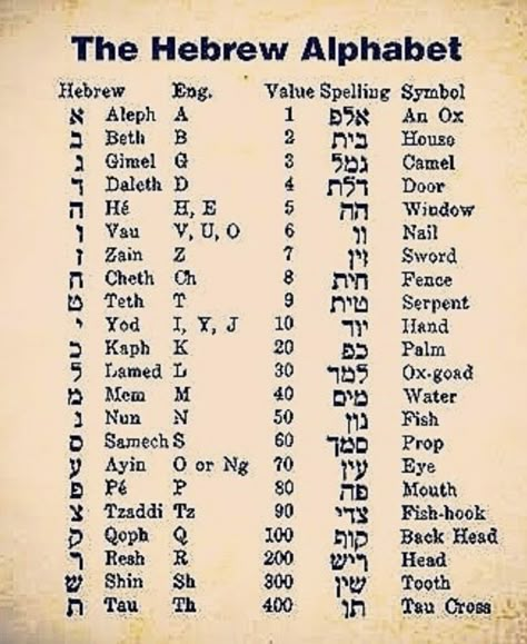 Ancient Hebrew Alphabet, Learn Hebrew Alphabet, Hebrew Language Learning, Hebrew Language Words, Hebrew Writing, Ancient Alphabets, Hebrew Lessons, Ancient Writing, Alphabet Code