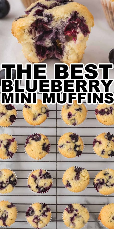 Full of juicy blueberries, this easy-to-make mini blueberry muffins recipe is one our whole family loves. Make a batch of these mini blueberry muffins so you have some to enjoy now and some to freeze to enjoy later. These blueberry muffins have the perfect sweet flavor that is bursting with blueberries. Blueberries Sauce, White Grape Juice, Mini Blueberry Muffins, Mini Muffin Recipe, Blueberry Muffins Recipe, Homemade Blueberry Muffins, Easy Blueberry Muffins, Healthy Blueberry Muffins, Banana Blueberry Muffins