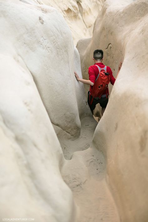 In San Diego, there is a hidden surf trail called Ho Chi Minh Trail in La Jolla // localadventurer.com Torrey Pines Hike, San Diego Bucket List, San Diego Hiking, San Diego Map, La Hikes, Ho Chi Minh Trail, Visit San Diego, San Diego Travel, Torrey Pines