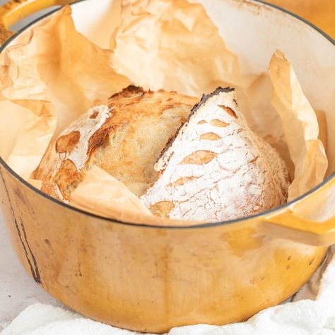 Overnight No-Knead Dutch Oven Bread The Practical Kitchen, Beginners Bread Recipe, Oven Bread, Dutch Oven Bread, Knead Bread Recipe, Homemade Jelly, Ciabatta Bread, Practical Kitchen, Soft Bakes