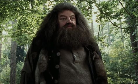 Harry Potter Professors, Hogwarts Professors, Rubeus Hagrid, Robbie Coltrane, Matthew Lewis, Superhero Names, List Of Characters, Oliver Phelps, Fred And George Weasley