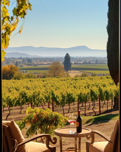 Napa Valley Napa California Aesthetic, Napa Valley Aesthetic, Napa Aesthetic, Napa Valley Honeymoon, Napa Outfit, Nappa Valley, Napa Valley Vacation, Valley Aesthetic, Napa Valley Vineyards