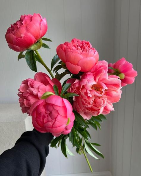 Peony Flower Aesthetic, Peony Bouquet Pink, Peony Flower Bouquet Aesthetic, Peonies Aesthetic, Bunch Of Peonies, Peony Tulips, Colorful Peonies, Hot Pink Peonies, Christian Workout