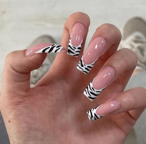 Zebra Square Nails, Zebra Print Acrylic Nails French Tip, Zebra Nails Animal Prints, Zebra Tip Nails, Zebra Print Acrylic Nails, Zebra Print French Tip Nails, Zebra Nails Acrylic, Zebra French Nails, Zebra French Tip Nails