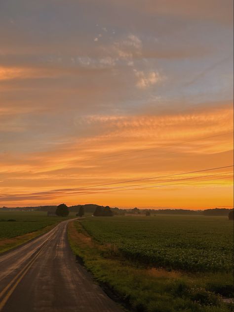 Sun, The Middle, The Sun, For Free, Road, Green