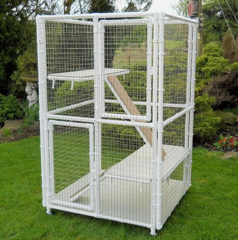 Indoor Cat Cages Enclosures - Ideas on Foter Iguanas, Cat Cages Indoor, Iguana Cage, Diy Cat Enclosure, Single Cat, Cat Heaven, Portable Chicken Coop, Cat Pen, Cat Patio