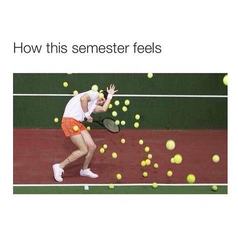 College Life- minus the smile Clean Humor, College Humor, School Memes, Memes Humor, Grad School, Tennis Player, Have A Laugh, School Humor, College Life