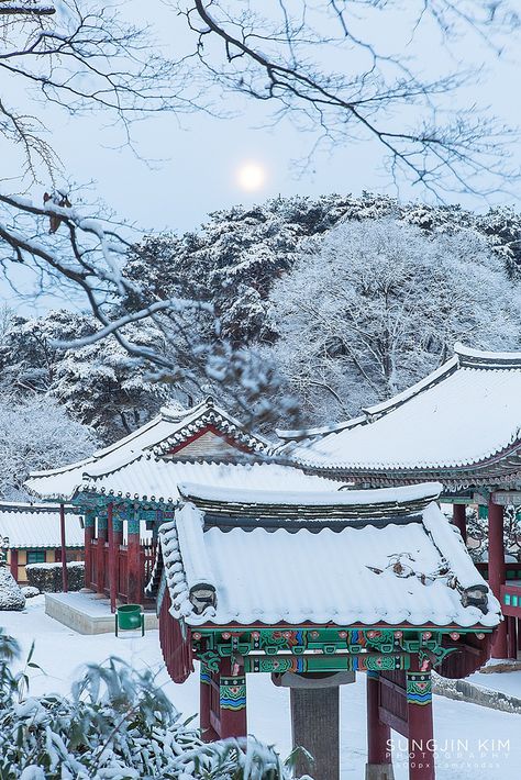 Korea Winter, Morning Moon, Winter In Japan, Korea Wallpaper, Korean Winter, South Korea Seoul, South Korea Travel, Korea Travel, Seoul Korea