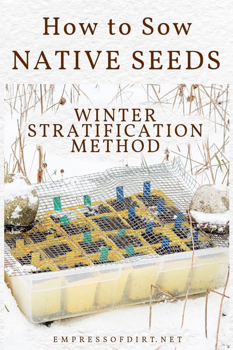 How to Sow Hardy Seeds Outdoors in Pots (Easy Winter Method) Winter Planting, Propagation Tips, Cold Climate Gardening, Winter Sowing, Grow Garden, Winter Gardening, Planting Calendar, Annual Garden, Asclepias Tuberosa