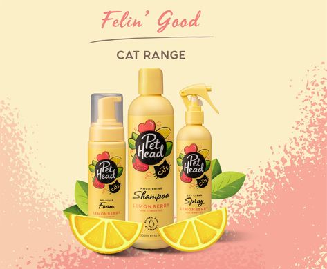 Cat shampoo, cat spray and cat foam shampoo, all part of the Pet Head Cat grooming range here at Elliots. Shop for yours today Lemon Seeds, Cat Shampoo, Strawberry Seed, Cat Spray, Nourishing Shampoo, Spray Foam, Vegetable Protein, Safflower Oil, Strawberry Lemonade