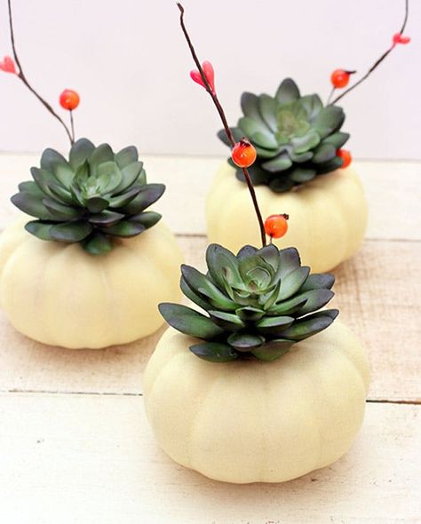 12 Ways to Use Flowers in Your Halloween Decor via Brit   Co Mini Pumpkins Decor, Diy Succulents Centerpiece, Thanksgiving Crafts To Make, Halloween Flower Arrangements, Modern Thanksgiving Table, Thanksgiving Decorations Diy Table, Succulent Pumpkin, Modern Thanksgiving, Centerpiece Craft