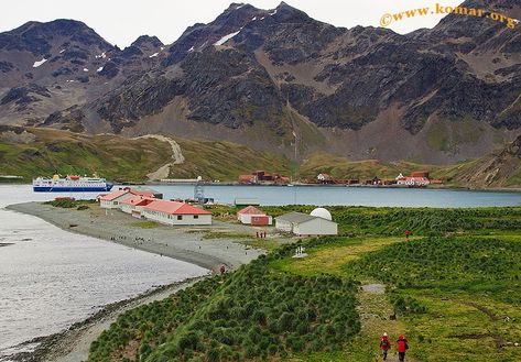 British Research Station at King Edward Point, on South Georgia island in the South Atlantic (with Grytviken, a former Whaling Station, in the background). South Georgia Island, Research Station, Visit Georgia, South American Countries, South Georgia, King Edward, Island Map, Florida Georgia, Boat Trips