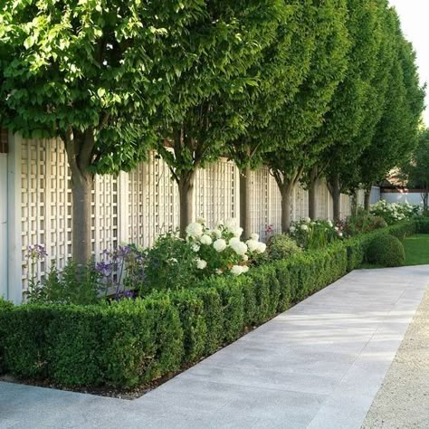 Country Garden Design, Parterre Garden, Boxwood Garden, Garden Desig, Front Garden Landscape, Front Yard Garden Design, Formal Garden, Front Landscaping, White Picket Fence