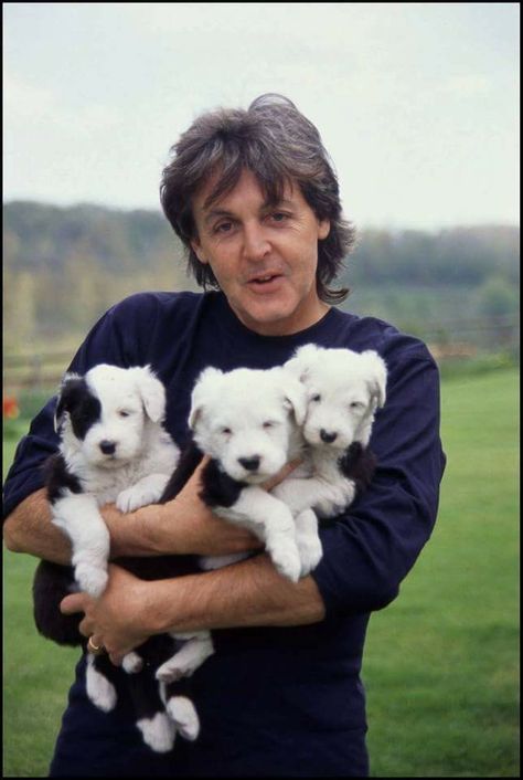 Sir Paul McCartney English Sheepdog Puppy, Dog Probiotics, Sheep Dog Puppy, Paul Mccartney And Wings, Paul And Linda Mccartney, Beatles Love, Sheep Dog, Beatles Photos, Beatles Pictures