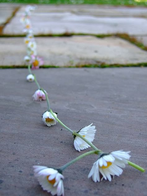 Making daisy chains...*singing, I'll give you a daisy, a daisy, I'll give you a daisy a day. I'll love you until the rivers run still and the four winds we know pass away.... 1970s Childhood, Daisy Chains, Childhood Memories 70s, Good Old Times, Childhood Days, My Childhood Memories, 90s Childhood, Those Were The Days, Daisy Chain