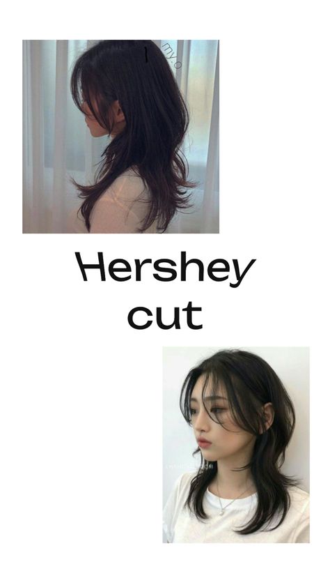 Hershey Cut, Pose Fotografi, Korean Fashion Trends, Hair Photo, Just Girly Things, Trendy Hairstyles, Girly Things, Hair Tutorial, Hair Inspo