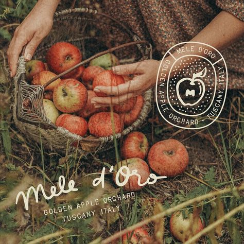 Mele d’Oro 🍎✨ an orchard & apple picking farm in Tuscany, Italy 🧡 was late to jump on this brief but so glad I did 🥰 had a lot of fun creating the little orchard map & sticker/badge-like logo variations! ✨ let me know what you think of the brand below 🥹 brief by @lets.brief #letsbriefmeledoro ✶ #graphicdesign #graphicdesigner #design #branding #branddesign #branddesigner #brandidentity #logodesigner #logoinspirations  #designeveryday #creativepreneur #designinspiration #freelancer #femaleg... Farm Graphic Design, Map Illustrations, Logo Variations, Map Sticker, Farm Field, Logo Brand Identity, Apple Orchard, Apple Picking, Illustrated Map