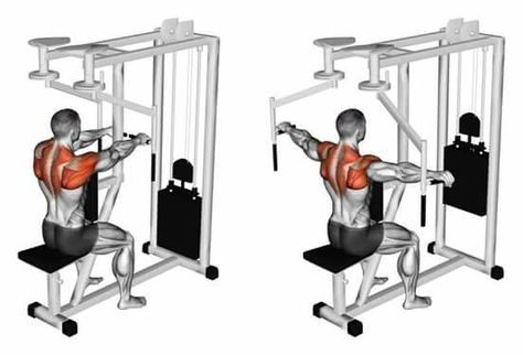 Reverse Butterfly(?) Rear Delt Exercises, Push Day Workout, Deltoid Workout, Upper Back Exercises, Free Workout Plans, Push Workout, Push Day, Rear Delt, Tricep Dips