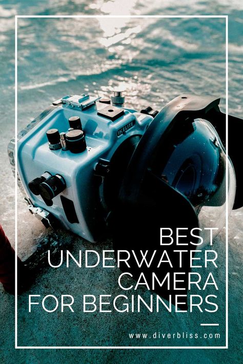 Underwater Camera Housing, Scuba Diving Courses, Underwater House, Scuba Diving Photography, Rescue Diver, Underwater Video, Diving Course, Lost At Sea, The Deep Blue Sea