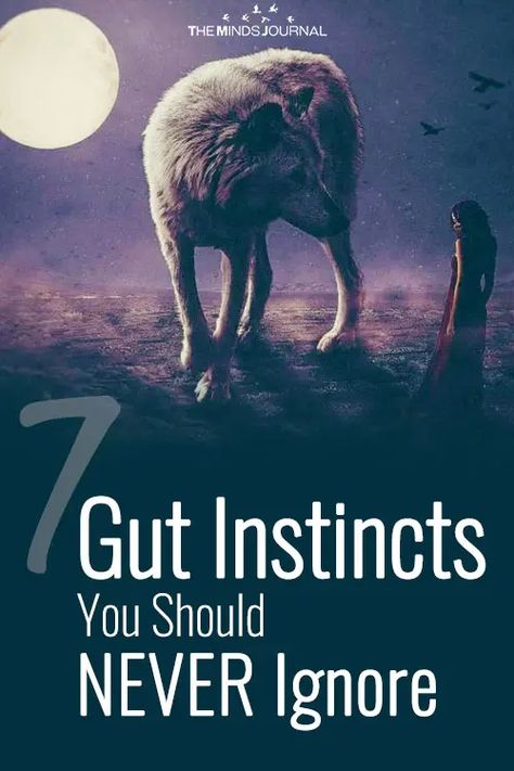 Trust Your Gut Instinct Quote, Gut Instinct Quotes, Gut Feeling Quotes, Switch Numbers, Instinct Quotes, Spiritual Documentaries, Jesica Biel, Gut Instinct, Gut Feelings