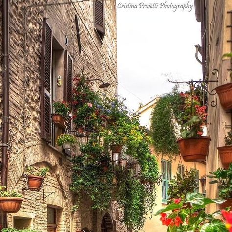 Map of Italy on Instagram: "Do You Prefer Rural or Urban Tourism? 🇮🇹 😍 ✈️ Locations below   Congratulations to the talented photographer @cristinaproietti_photo   Locations 📍   1. SPELLO  is a small town in the Umbria region known for its beautiful flowers and charming medieval architecture.   2. SANTA SEVERA is a coastal town in the Lazio region and is known for its beautiful beach and medieval castle.   3. SPERLONGA  is a seaside town in the Lazio region and is known for its beautiful beach and historic architecture.   4. TREMOSINE in the Lombardy region and is known for its stunning views of Lake Garda, making it a great place to visit for nature lovers and outdoor enthusiasts.   5. SCANNO  in the Abruzzo region is known for its scenic beauty and traditional architecture.   6. CAPRA Italy Seaside, Map Of Italy, Medieval Architecture, Historic Architecture, Italy Map, Seaside Town, Coastal Town, Lake Garda, Place To Visit