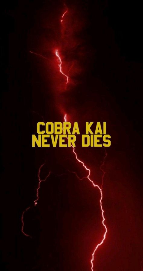 Hawk Cobra Kai Wallpaper, Cobra Kai Wallpaper Iphone, Cobra Kai Pfp, Wallpaper Cobra Kai, Wallpaper Cobra, Cobra Kai Aesthetic, Corba Kai, Iphone Wallpaper Moon, Die Wallpaper