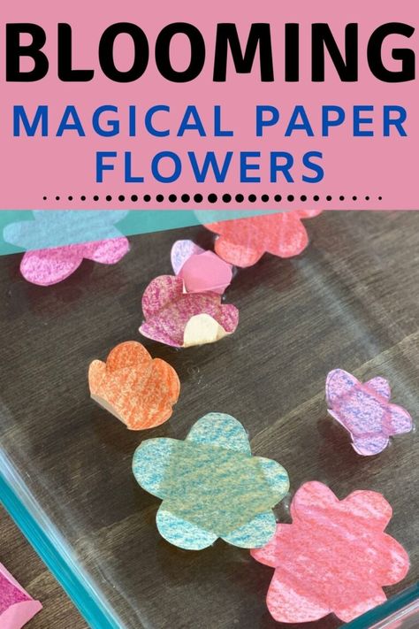 Easy Stem Activities Elementary, Cool Science Experiments For Kids, Steam Activities Elementary, Flower Activities For Kids, Spring Science Experiments, Spring Stem Activities, Flower Science, Science Activities For Toddlers, Stem Activity For Kids