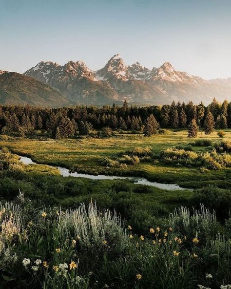 Wyoming, The Great Outdoors, Pretty Landscapes, Nature Aesthetic, Land Scape, Beautiful World, Beautiful Landscapes, Wonders Of The World, Beautiful Nature