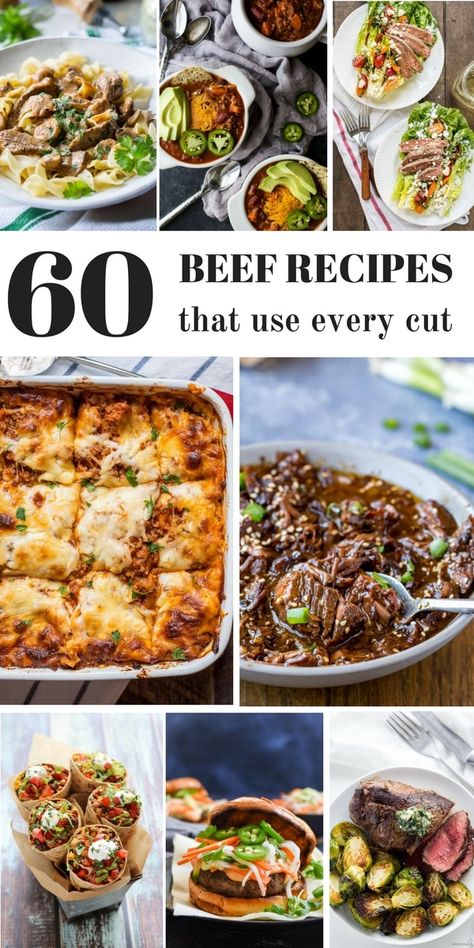 Looking for a roast recipe? How about a unique recipe for ground beef? Or short ribs? This post has over 60 recipes for every cut of beef, so you can make a great meal any day of the week! French Onion Beef Stew, Diced Beef Recipes, Beef Tips And Rice, Indian Beef Recipes, Slow Cooker Korean Beef, Mongolian Beef Recipes, Cube Steak Recipes, Healthy Beef Recipes, Ground Beef And Potatoes