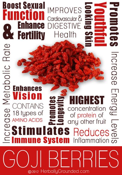 Vital Health Benefits of Goji Berries. Learn how you can simply and easily incorporate this into your daily diet. http://www.engineeredlifestyles.com/blog/healthy-lifestyle/vital-health-benefits-of-goji-berry/ #goji #gojiberry #healthbenefits Goji Berries Benefits, Gogi Berries, Tomato Nutrition, Calendula Benefits, Fruit Health Benefits, Fertility Health, Matcha Benefits, Lemon Benefits, Coconut Health Benefits