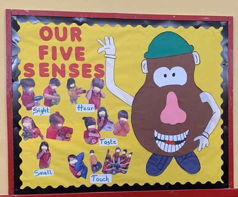 Five Senses Bulletin Board, Our Five Senses, Five Senses Preschool, Daycare Curriculum, Senses Preschool, My Five Senses, Classroom Window, Prek Classroom, The Five Senses