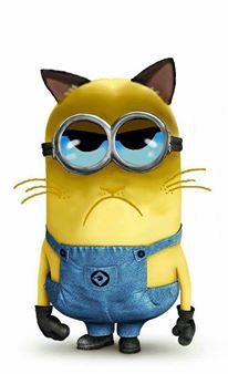 Grumpy Minion :D @Marcia Cunha Schor doodlepie @Desiree Martinez Blessin Harris @Skylin Moeder Moeder hellsing Minion Rock, 3 Minions, Minion Mayhem, Despicable Minions, Minion Pictures, Minions Love, Cute Minions, A Minion, Minions Despicable Me