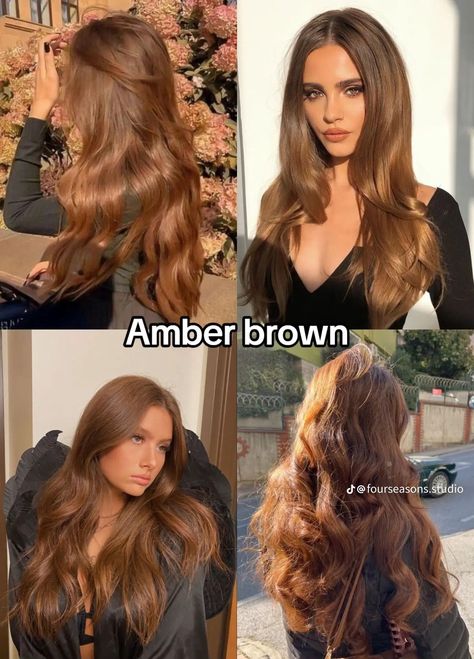 Hair Colors For Warm Undertones, Amber Brown Hair, Amber Hair Colors, Amber Blonde, Best Fall Hair Colors, Hair Colors To Try, Warm Brown Hair, Amber Hair, Color Seasons