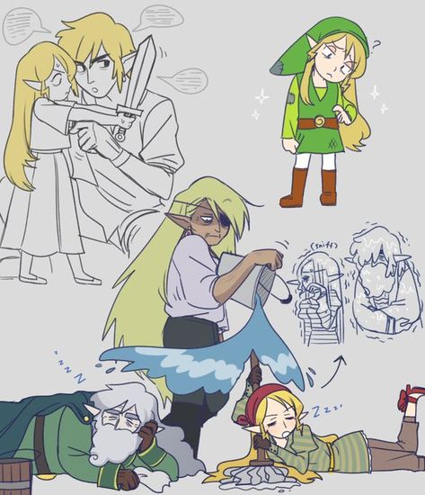 Zelink Botw, Legend Of Zelda Memes, Botw Zelda, Nintendo Splatoon, Zelda Funny, Moon Princess, Link Zelda, Wind Waker, Zelda Art