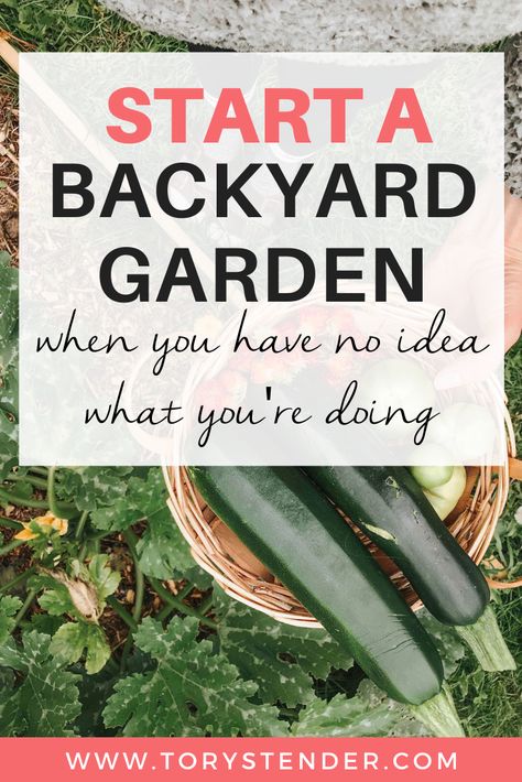 Beginner Garden, First Garden, Easy Vegetables To Grow, Small Vegetable Gardens, Vegetable Garden For Beginners, Starting A Vegetable Garden, Backyard Vegetable Gardens, Small Backyard Gardens, Starting A Garden