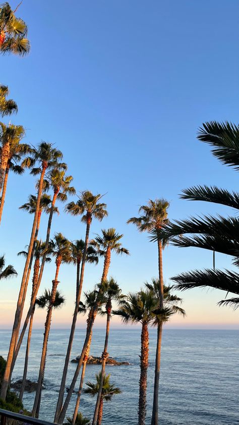 Laguna Beach California Aesthetic, Orange County Aesthetic, Laguna Beach Aesthetic, California Beach Aesthetic, Orange County Beaches, La Beach, Oc California, Zuma Beach, Swimming Sea