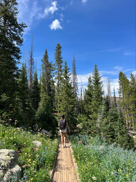 Utah Travel Aesthetic, Utah Hiking Aesthetic, Hike Utah, Utah Aesthetic, Salt Lake City Utah Summer, Alta Utah, Hikes In Utah, Utah Summer, Summer Hike