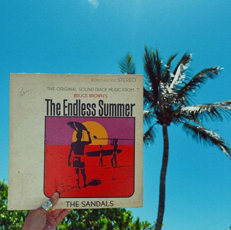 Spinning into summer with the Endless Summer vinyl🌞🏄‍♀️ #surf #endlesssummer #recordcollection The Endless Summer, Summer Board, Surf Club, Record Collection, July 12, The Endless, Endless Summer, Spinning, Surfing