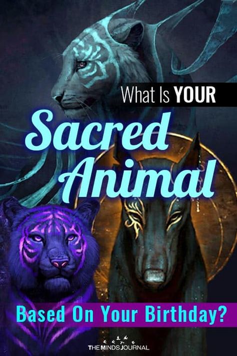 The Sacred Animal Of Your Day Of Birth: Which One Is Yours? Birth Animals By Month, Birth Animal, Native American Totem, Tarot Interpretation, Chart Astrology, Instagram Questions, Spiritual Animal, Michael Gordon, Animal Guides