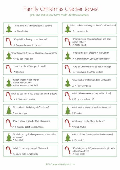 DIY Christmas favours and printable Christmas jokes :: the New Idea Project - a little delightful Christmas Cracker Jokes, Xmas Crackers, Cracker Jokes, Christmas Favors Diy, Christmas Favours, Diy Christmas Crackers, Christmas Riddles, Xmas Jokes, Xmas Games