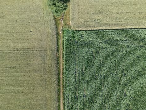 Fields from above. Download this photo by Rene Pot on Unsplash Plant In A Pot, Elements Of Color, Nature Backgrounds, Utrecht, Aerial View, Hd Photos, Google Photos, Netherlands, Slides